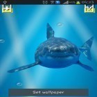 Outre le fond d'écran animé Neige de Noël pour Android téléchargez l'apk gratuit de screensaver Requin méchant: Ecran craqué .