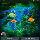 Outre le fond d'écran animé Hiver de neige  pour Android téléchargez l'apk gratuit de screensaver Aquarium 3D.