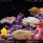 Outre le fond d'écran animé La tour d`horloge 3D pour Android téléchargez l'apk gratuit de screensaver Aquarium.