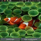 Téléchargez Aquarium  sur Android et d'autres fonds d'écran animés gratuits pour LG P500 Optimus One.