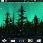 Outre le fond d'écran animé Le bois de bambou 3D  pour Android téléchargez l'apk gratuit de screensaver Aurore.