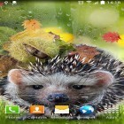 Outre le fond d'écran animé Winnie l'ourson et les abeilles  pour Android téléchargez l'apk gratuit de screensaver Automne .