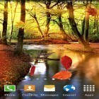 Outre le fond d'écran animé Macro papillons  pour Android téléchargez l'apk gratuit de screensaver Forêt d'automne.