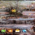 Outre le fond d'écran animé Hypercubique pour Android téléchargez l'apk gratuit de screensaver Paysage d'automne.