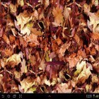 Outre le fond d'écran animé Grunge HD pour Android téléchargez l'apk gratuit de screensaver Feuilles d'automne 3D.