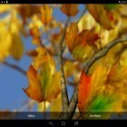 Outre le fond d'écran animé Pendule pour Android téléchargez l'apk gratuit de screensaver Feuilles d'automne 3D.