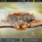 Outre le fond d'écran animé Le coup du dragon  pour Android téléchargez l'apk gratuit de screensaver Petit hibou d'automne .
