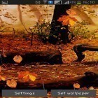 Outre le fond d'écran animé Egaliseur  pour Android téléchargez l'apk gratuit de screensaver Pluie d'automne.