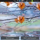 Outre le fond d'écran animé Brame dans le vide pour Android téléchargez l'apk gratuit de screensaver Gouttes de pluie d'automne.