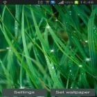 Outre le fond d'écran animé Fleurs de néon  pour Android téléchargez l'apk gratuit de screensaver Formidable.