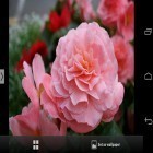 Outre le fond d'écran animé Emoticones  pour Android téléchargez l'apk gratuit de screensaver Belles fleurs .
