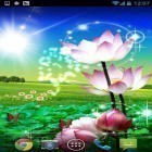 Outre le fond d'écran animé Capteur de rêves   pour Android téléchargez l'apk gratuit de screensaver Beau lotus.