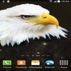 Outre le fond d'écran animé Colonie spatiale  pour Android téléchargez l'apk gratuit de screensaver Oiseaux.
