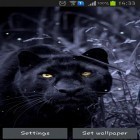 Outre le fond d'écran animé Bulles  pour Android téléchargez l'apk gratuit de screensaver Panthère noire .