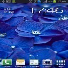 Outre le fond d'écran animé Fleurs en pâte à modeler  pour Android téléchargez l'apk gratuit de screensaver Fleurs bleues .