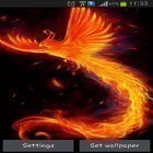 Outre le fond d'écran animé Bel hiver  pour Android téléchargez l'apk gratuit de screensaver Oiseau de feu.
