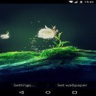 Outre le fond d'écran animé Neige d'hiver  pour Android téléchargez l'apk gratuit de screensaver Fleur du cactus.