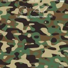 Outre le fond d'écran animé La place du château   pour Android téléchargez l'apk gratuit de screensaver Camouflage.