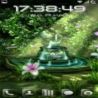 Outre le fond d'écran animé Fontaines pour Android téléchargez l'apk gratuit de screensaver Le jardin celte HD.