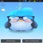 Outre le fond d'écran animé Photo aquarium  pour Android téléchargez l'apk gratuit de screensaver Manchot Chubby.