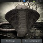Outre le fond d'écran animé Pigeon 3D  pour Android téléchargez l'apk gratuit de screensaver Cobra.