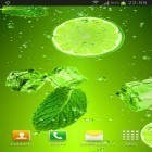 Outre le fond d'écran animé Roses 3D  pour Android téléchargez l'apk gratuit de screensaver Cocktails et boissons .