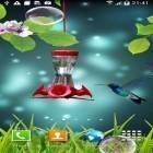 Outre le fond d'écran animé Les feuilles fraîches  pour Android téléchargez l'apk gratuit de screensaver Colibri .