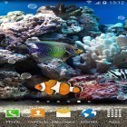 Outre le fond d'écran animé Espace dynamique pour Android téléchargez l'apk gratuit de screensaver Poissons de corail 3D.