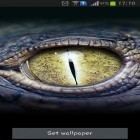 Outre le fond d'écran animé Iles polyèdres   pour Android téléchargez l'apk gratuit de screensaver Les yeux du crocodile .