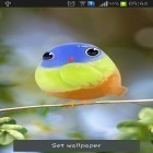 Outre le fond d'écran animé Mini caméléon   pour Android téléchargez l'apk gratuit de screensaver Oisaau aimable.