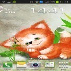 Outre le fond d'écran animé Le bois de bambou 3D  pour Android téléchargez l'apk gratuit de screensaver Renard sympa.