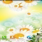 Outre le fond d'écran animé Horloge avec la prévision météo de soleil pour Android téléchargez l'apk gratuit de screensaver Marguerites.