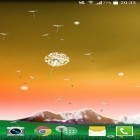 Outre le fond d'écran animé Neon  pour Android téléchargez l'apk gratuit de screensaver Dent-de-lion.