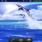 Outre le fond d'écran animé La Lune de Noël pour Android téléchargez l'apk gratuit de screensaver Le dauphin bleu .
