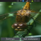 Outre le fond d'écran animé Tempête foudroyante 3D  pour Android téléchargez l'apk gratuit de screensaver Libellule .