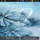 Outre le fond d'écran animé La Lune de Noël pour Android téléchargez l'apk gratuit de screensaver Dessinez sur l'écran gelé .