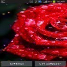 Outre le fond d'écran animé Champ de trèfle pour Android téléchargez l'apk gratuit de screensaver Gouttes et roses .