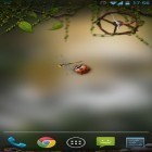 Outre le fond d'écran animé L`île-crane  pour Android téléchargez l'apk gratuit de screensaver Dryade .