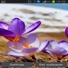 Outre le fond d'écran animé Les arbres printaniers  pour Android téléchargez l'apk gratuit de screensaver Printemps précoce: Nature.