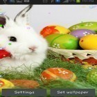 Outre le fond d'écran animé Guimauve 3D pour Android téléchargez l'apk gratuit de screensaver Lapins de Pâques 2015.