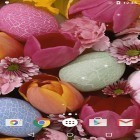 Outre le fond d'écran animé Goutte d'eau: Fleurs et feuilles  pour Android téléchargez l'apk gratuit de screensaver Oeufs de Pâques.