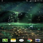 Outre le fond d'écran animé Ourson polaire pour Android téléchargez l'apk gratuit de screensaver Lucioles .