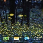 Outre le fond d'écran animé Fleurs lumineuses  pour Android téléchargez l'apk gratuit de screensaver Lucioles .