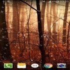 Outre le fond d'écran animé Forêt fantastique 3D pour Android téléchargez l'apk gratuit de screensaver Inclusions des lucioles HD.