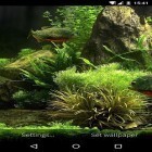 Outre le fond d'écran animé Maison de bambou 3D  pour Android téléchargez l'apk gratuit de screensaver Aquarium avec les poissons 3D.