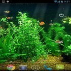 Outre le fond d'écran animé La profondeur de l`océan 3D pour Android téléchargez l'apk gratuit de screensaver Aquarium rond.