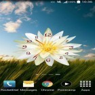Outre le fond d'écran animé Feuilles d'automne  pour Android téléchargez l'apk gratuit de screensaver Montre de fleurs .