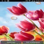 Outre le fond d'écran animé Singe ridicule  pour Android téléchargez l'apk gratuit de screensaver Fleurs 2015.