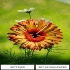 Outre le fond d'écran animé Le jardin celte HD pour Android téléchargez l'apk gratuit de screensaver Chrono de fleurs.