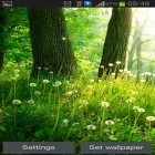 Outre le fond d'écran animé Exploration galactique   pour Android téléchargez l'apk gratuit de screensaver Forêt .